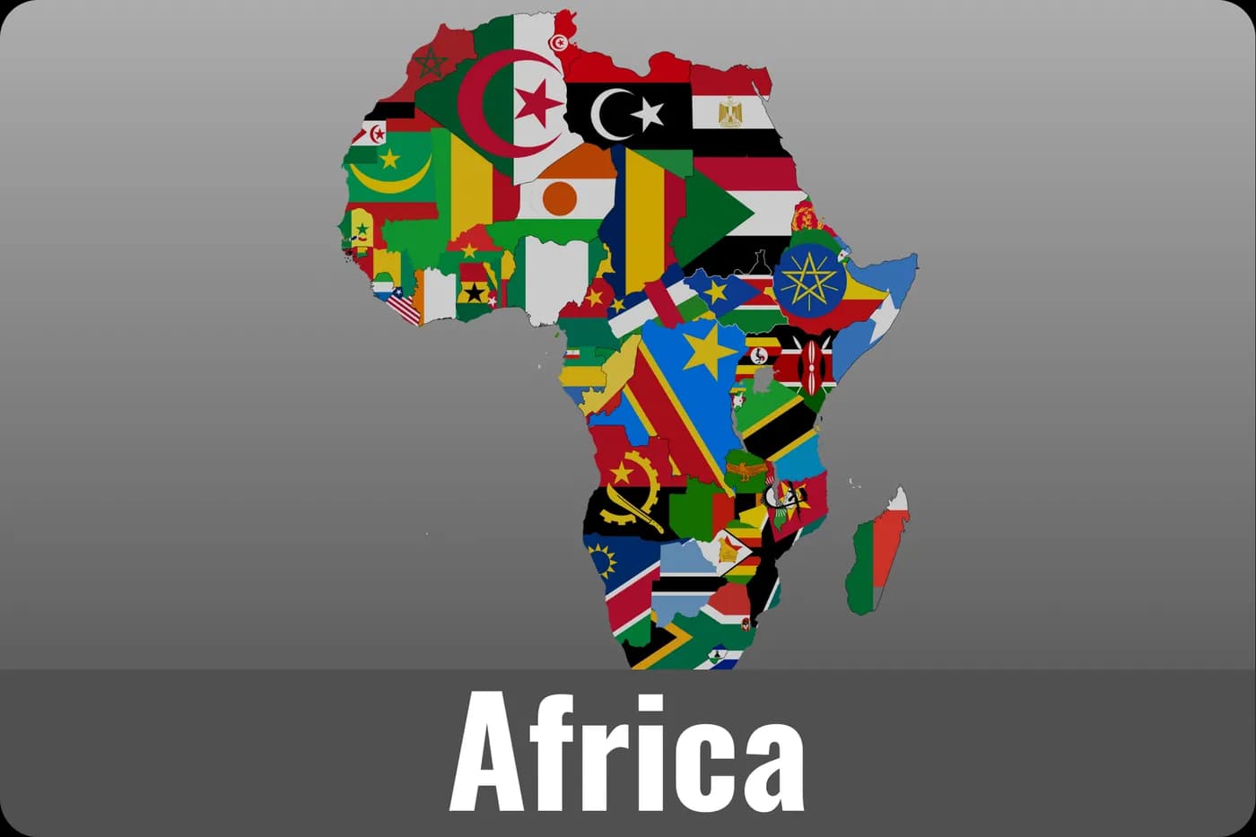 Africa phone cases